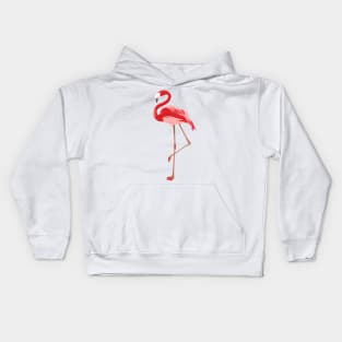 Flamingo Kids Hoodie